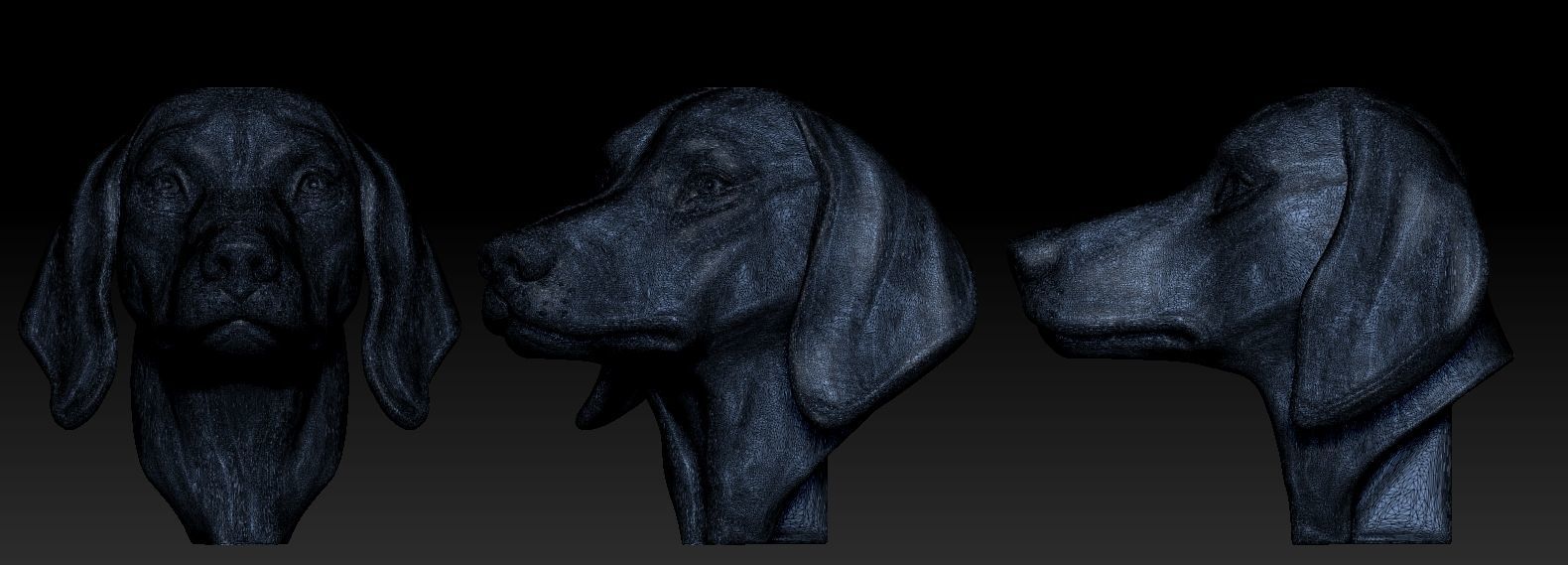 Dachshund Head 3D print model_10