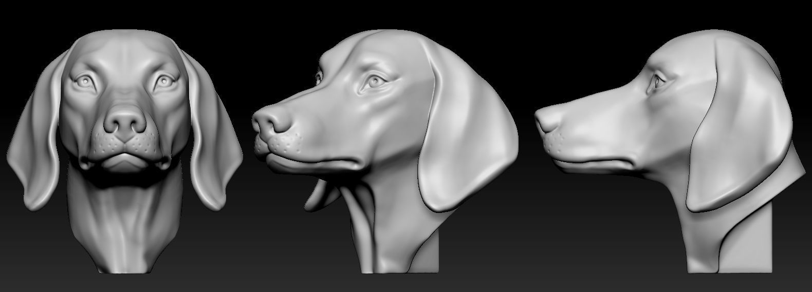 Dachshund Head 3D print model_7