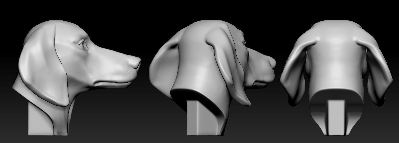Dachshund Head 3D print model_8