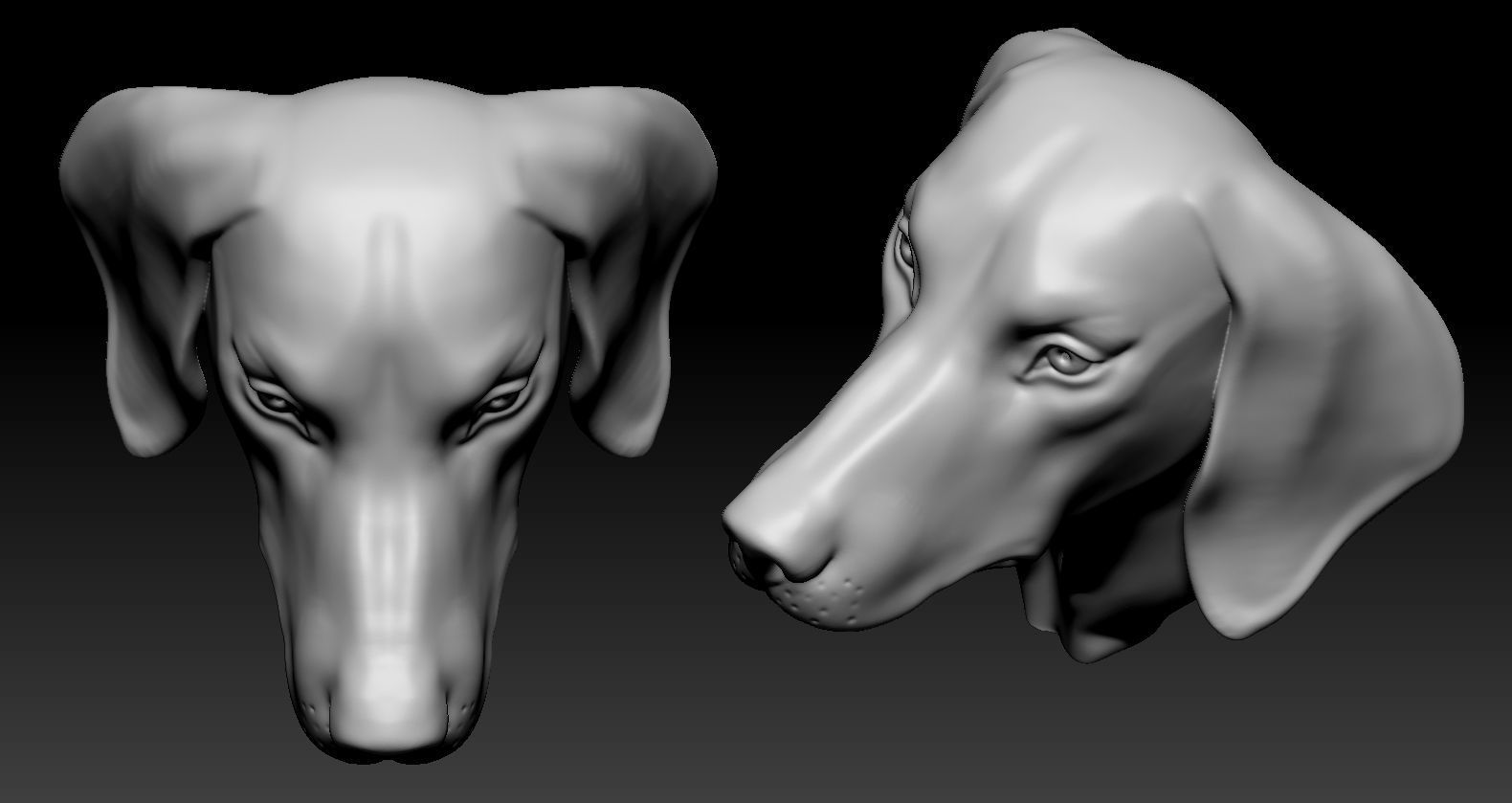 Dachshund Head 3D print model_6