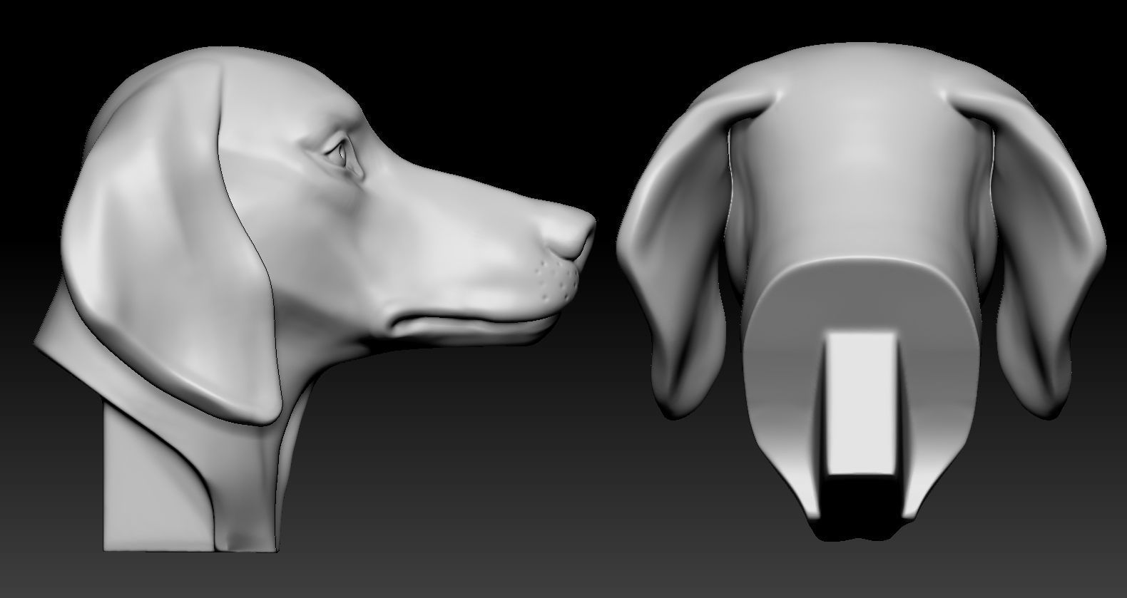 Dachshund Head 3D print model_5