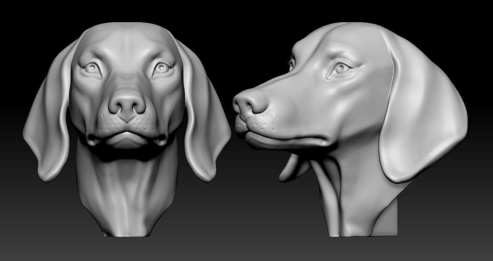 Dachshund Head 3D print model_3