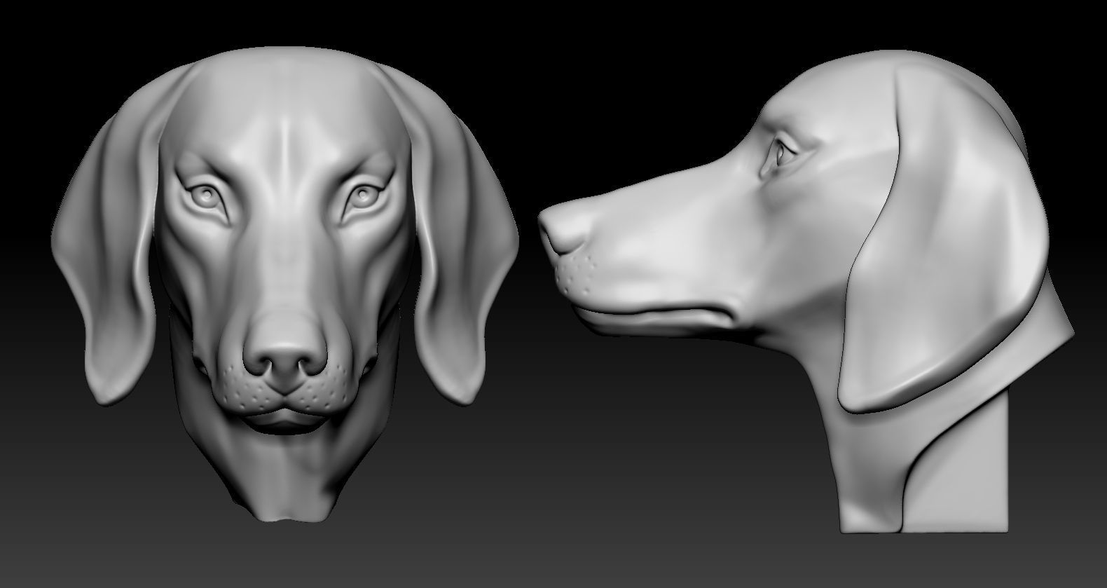 Dachshund Head 3D print model_4
