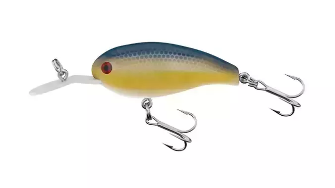YONGZHI Fishing Lures Shallow 3D model