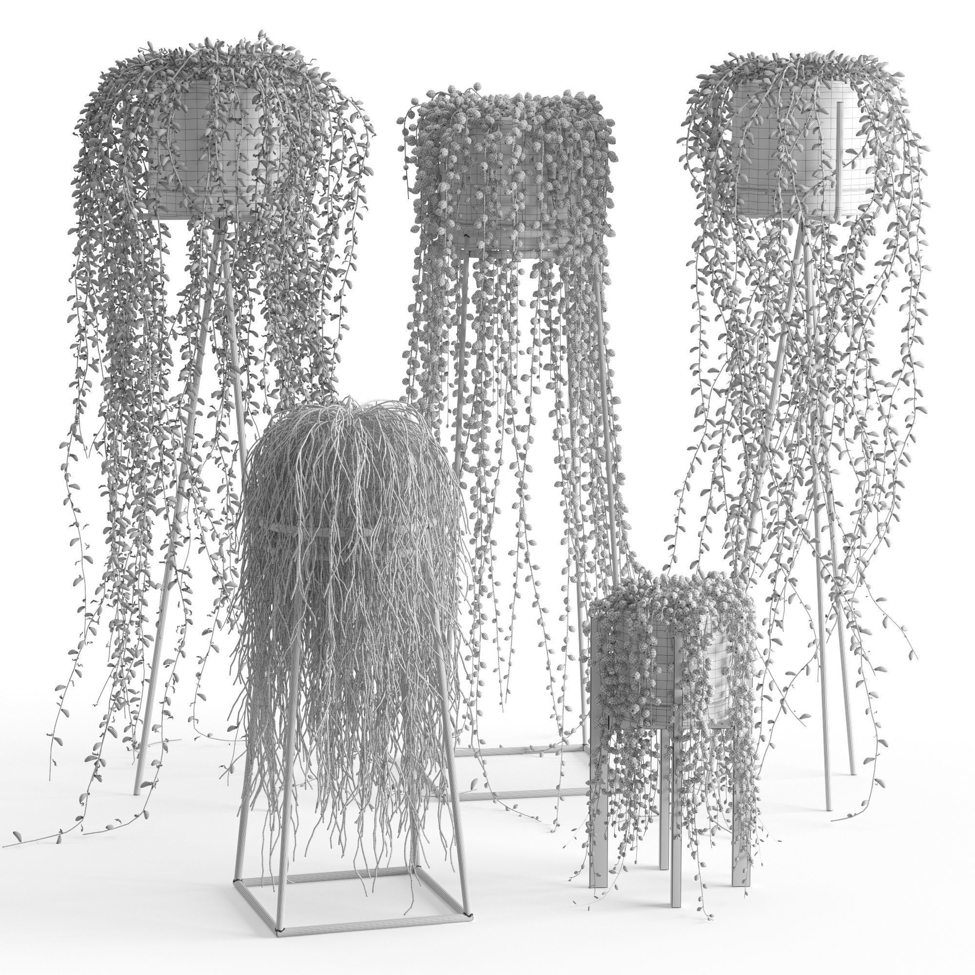 Houseplant 50 3D model_4