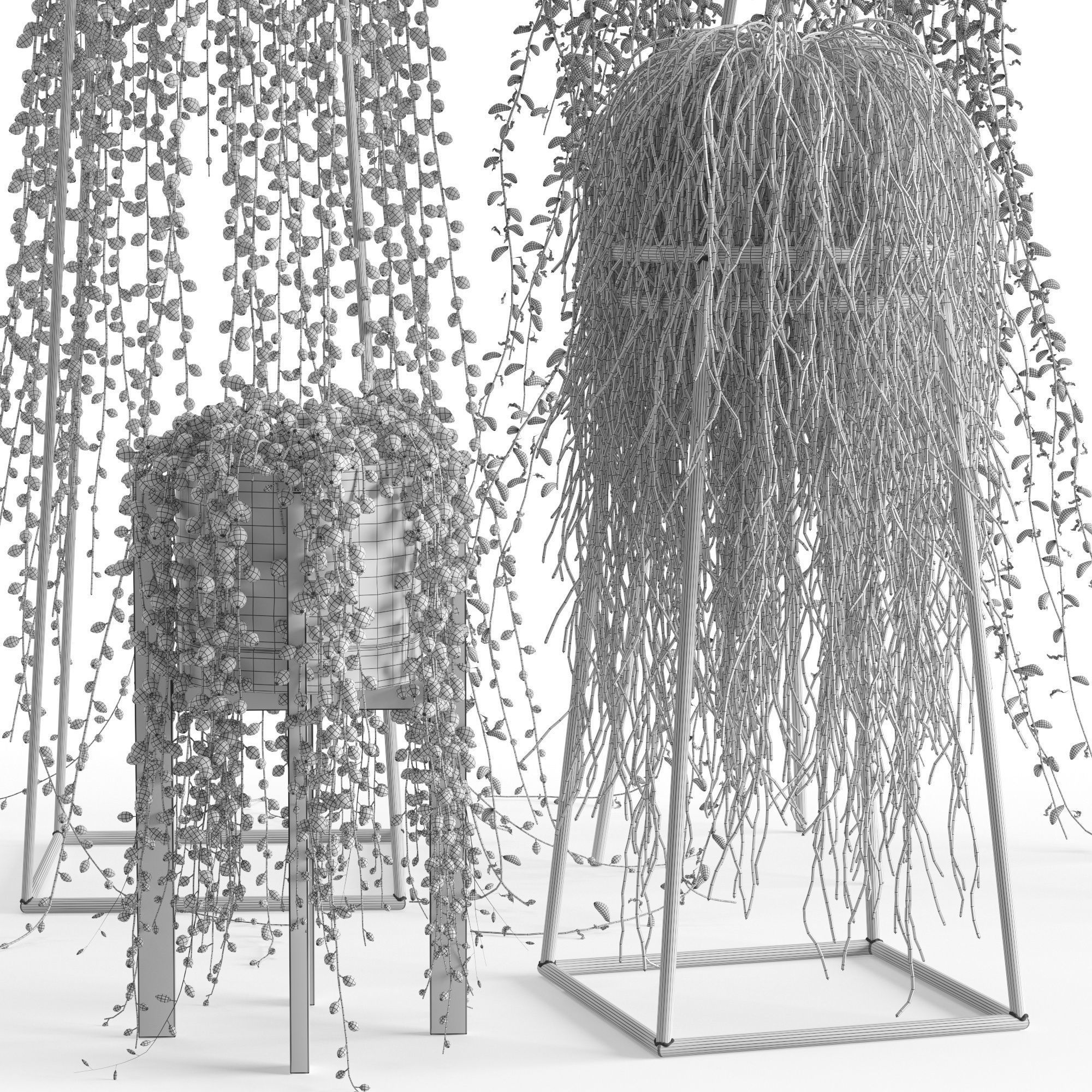 Houseplant 50 3D model_3