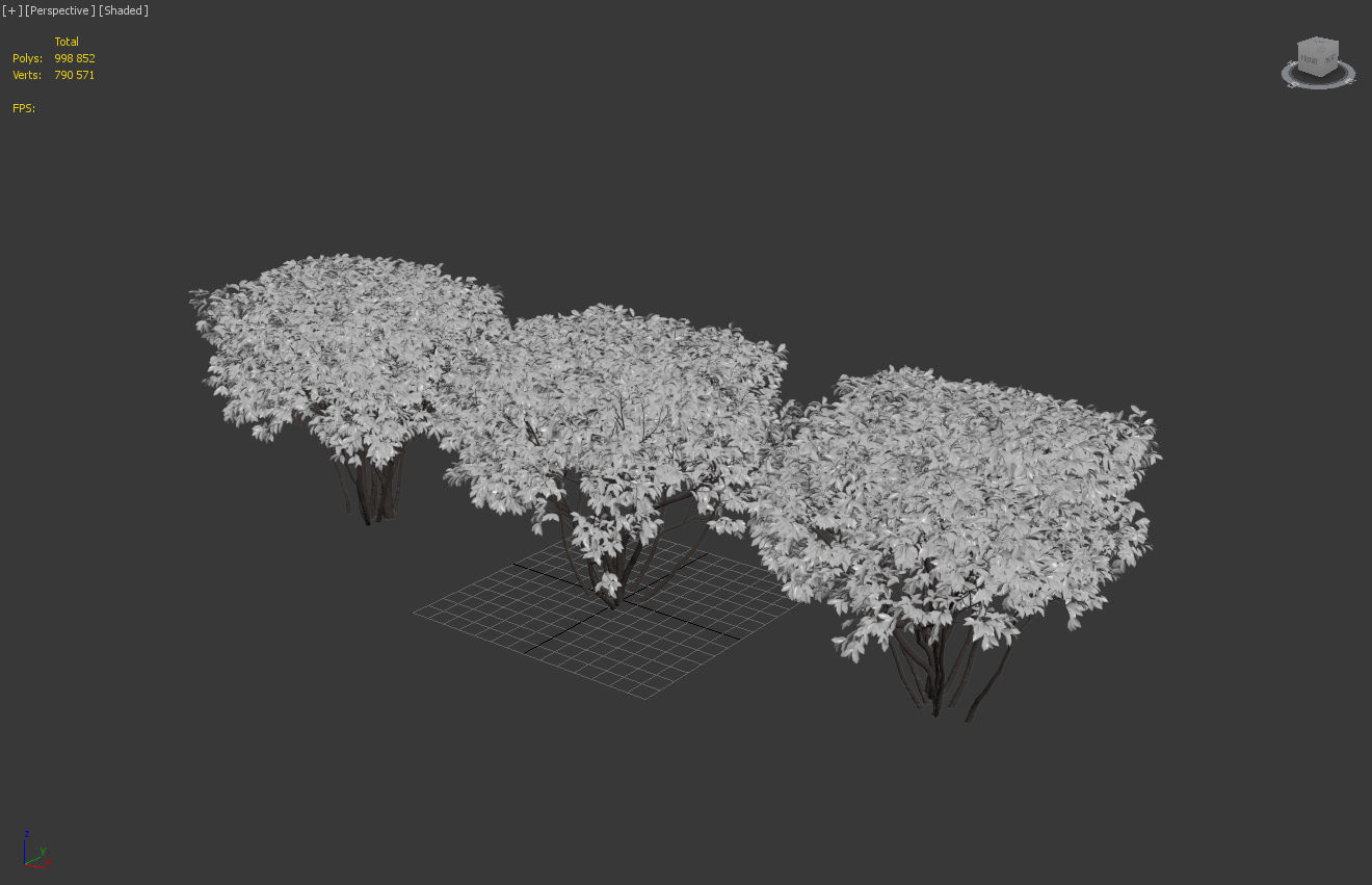 Ligustrum hedge 02 3D model_4