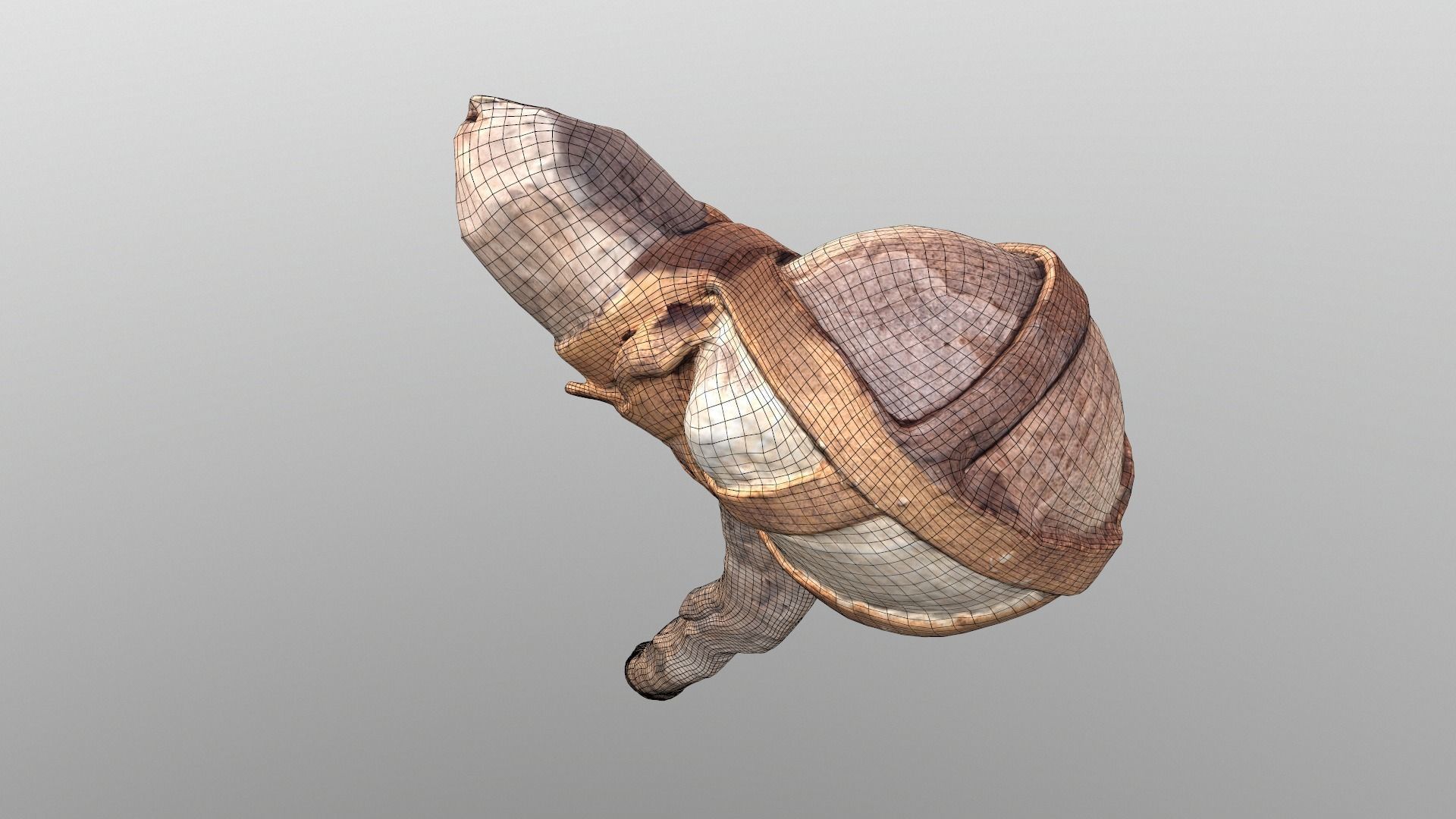 Real Primitive Axe Stone  Low-poly 3D model_19