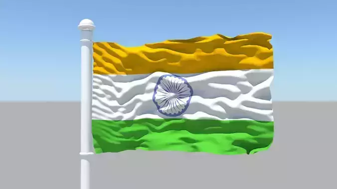Indian Flag 25075