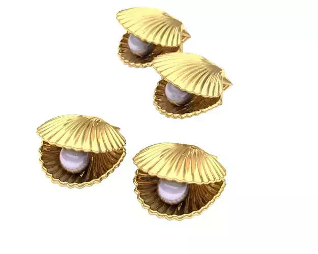 Shell earrings
