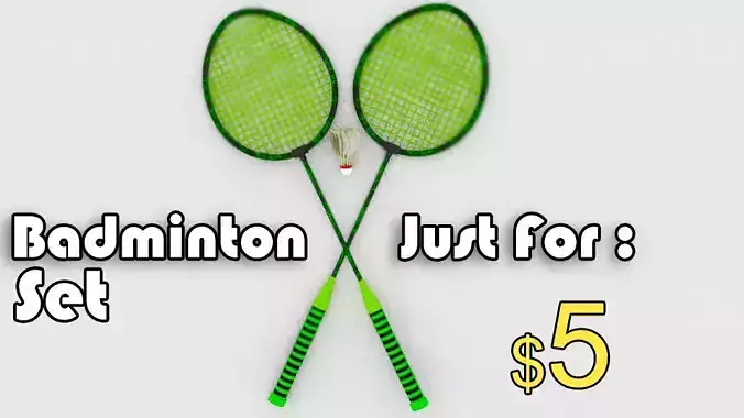 Badminton Set Model  Racket  Shuttlecock 