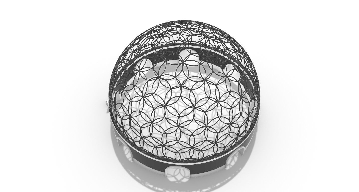 Geodesic Dome Flower of Life Pavilion Architectural Structure  3D model_39