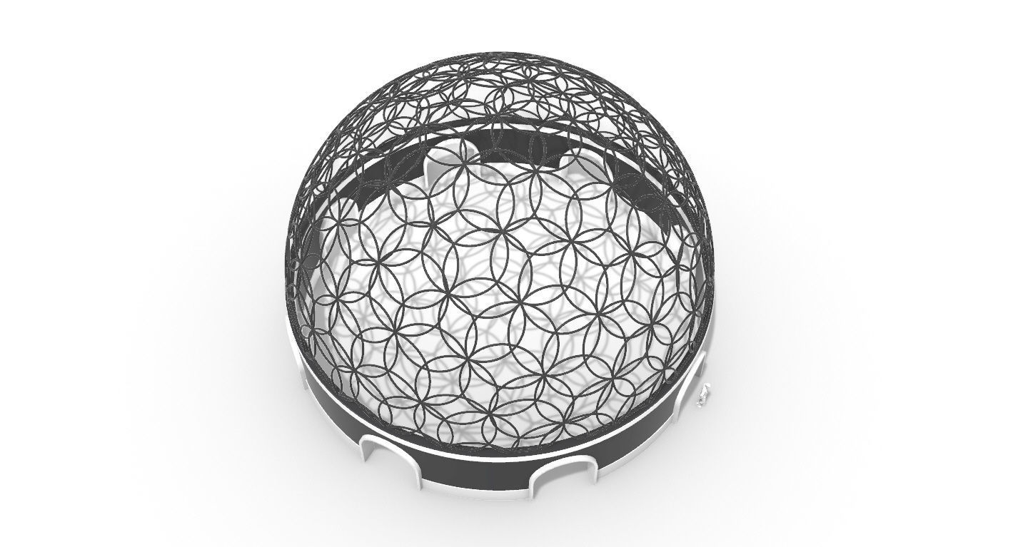 Geodesic Dome Flower of Life Pavilion Architectural Structure  3D model_55