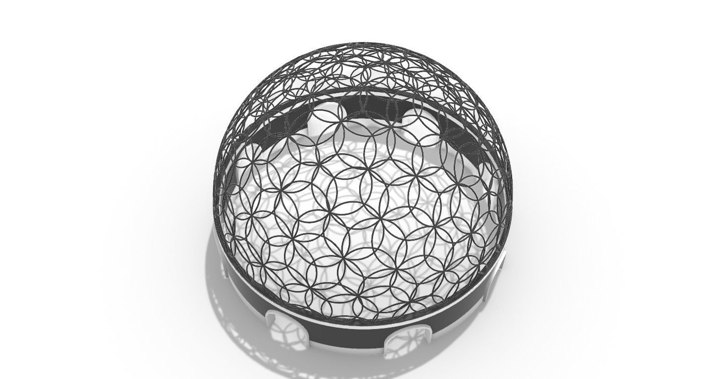 Geodesic Dome Flower of Life Pavilion Architectural Structure  3D model_41