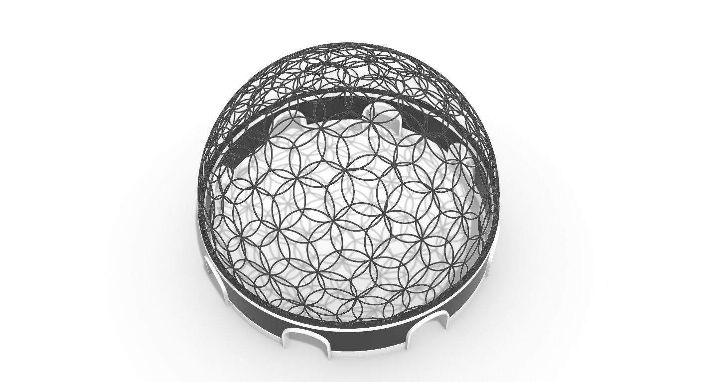 Geodesic Dome Flower of Life Pavilion Architectural Structure  3D model_52