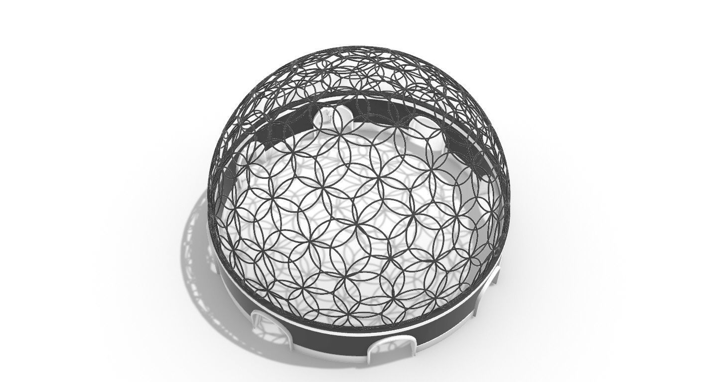 Geodesic Dome Flower of Life Pavilion Architectural Structure  3D model_44