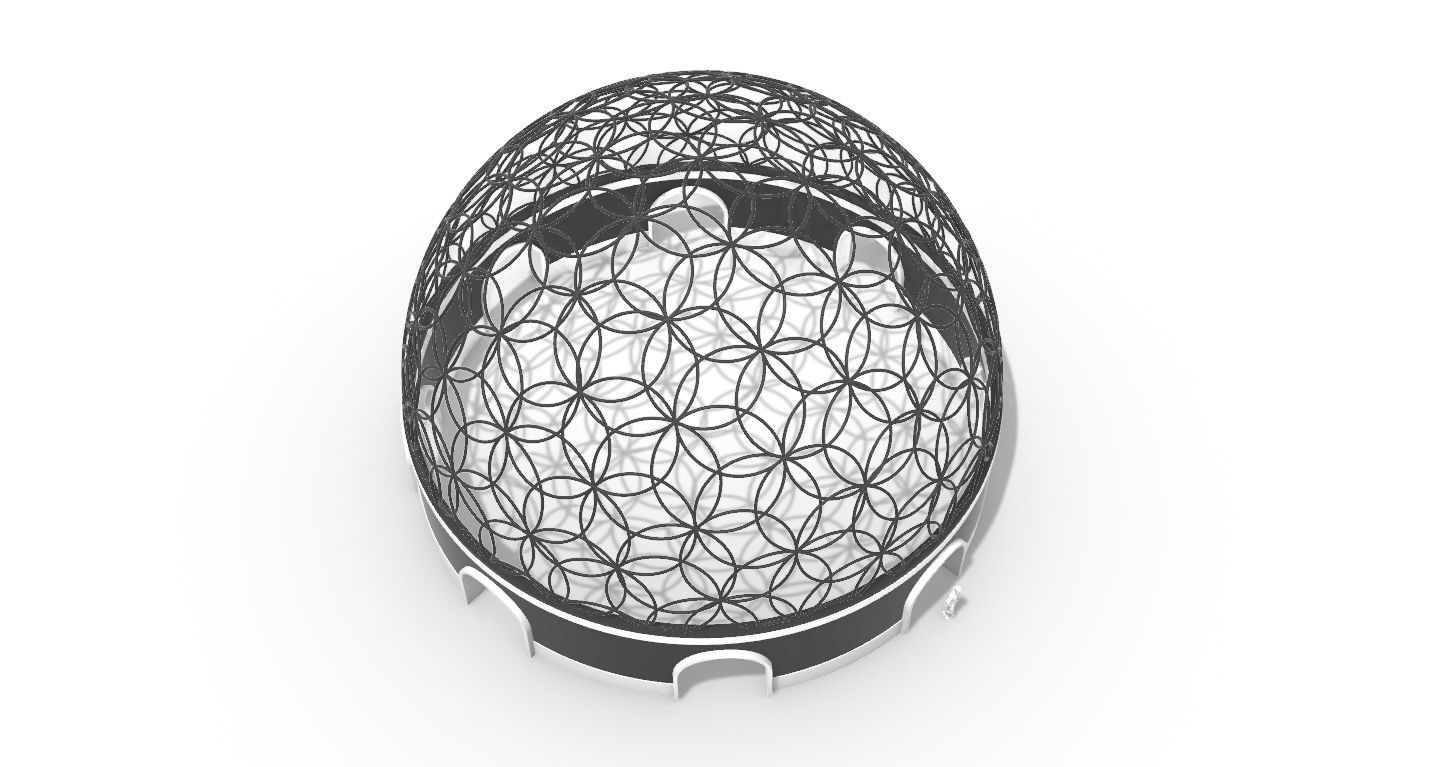 Geodesic Dome Flower of Life Pavilion Architectural Structure  3D model_56