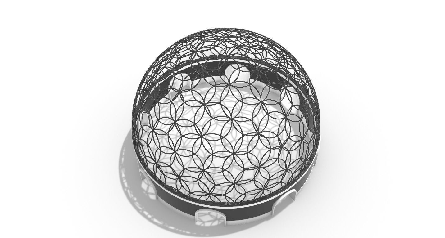 Geodesic Dome Flower of Life Pavilion Architectural Structure  3D model_42