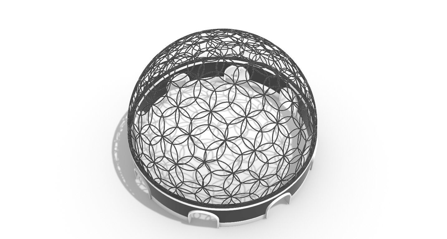 Geodesic Dome Flower of Life Pavilion Architectural Structure  3D model_46