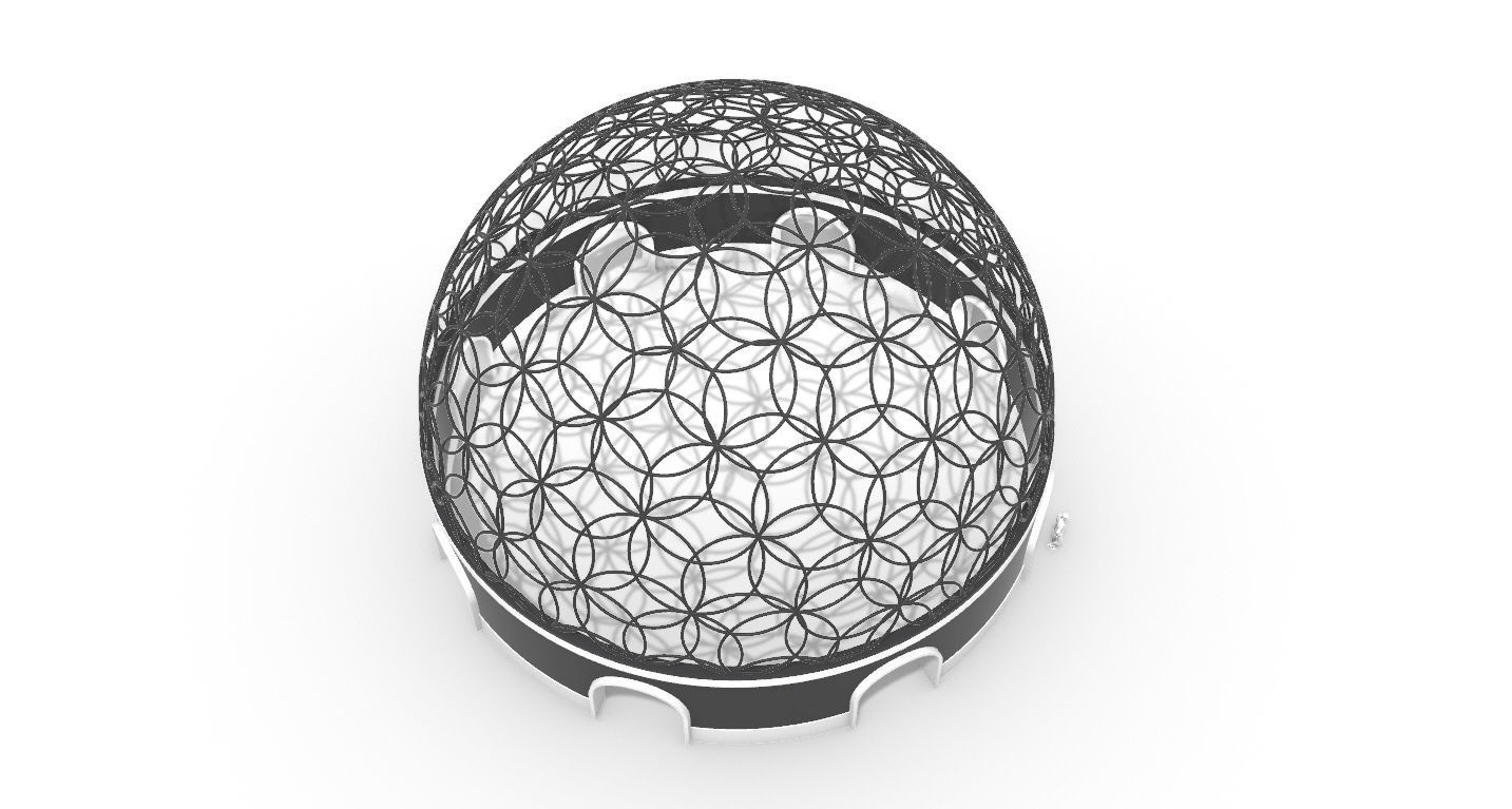 Geodesic Dome Flower of Life Pavilion Architectural Structure  3D model_54