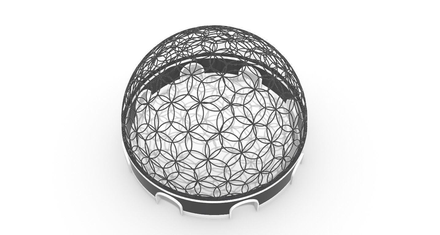 Geodesic Dome Flower of Life Pavilion Architectural Structure  3D model_50