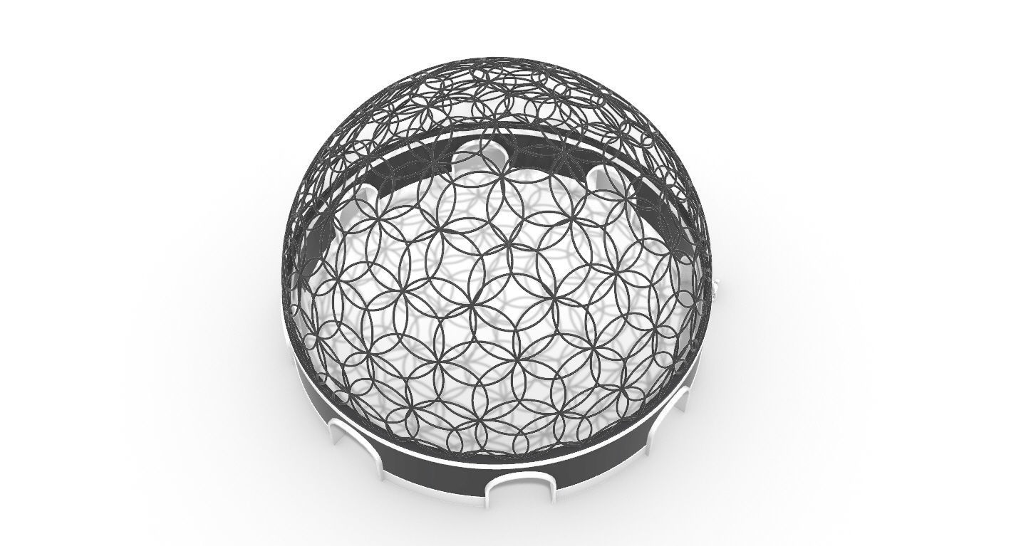Geodesic Dome Flower of Life Pavilion Architectural Structure  3D model_53