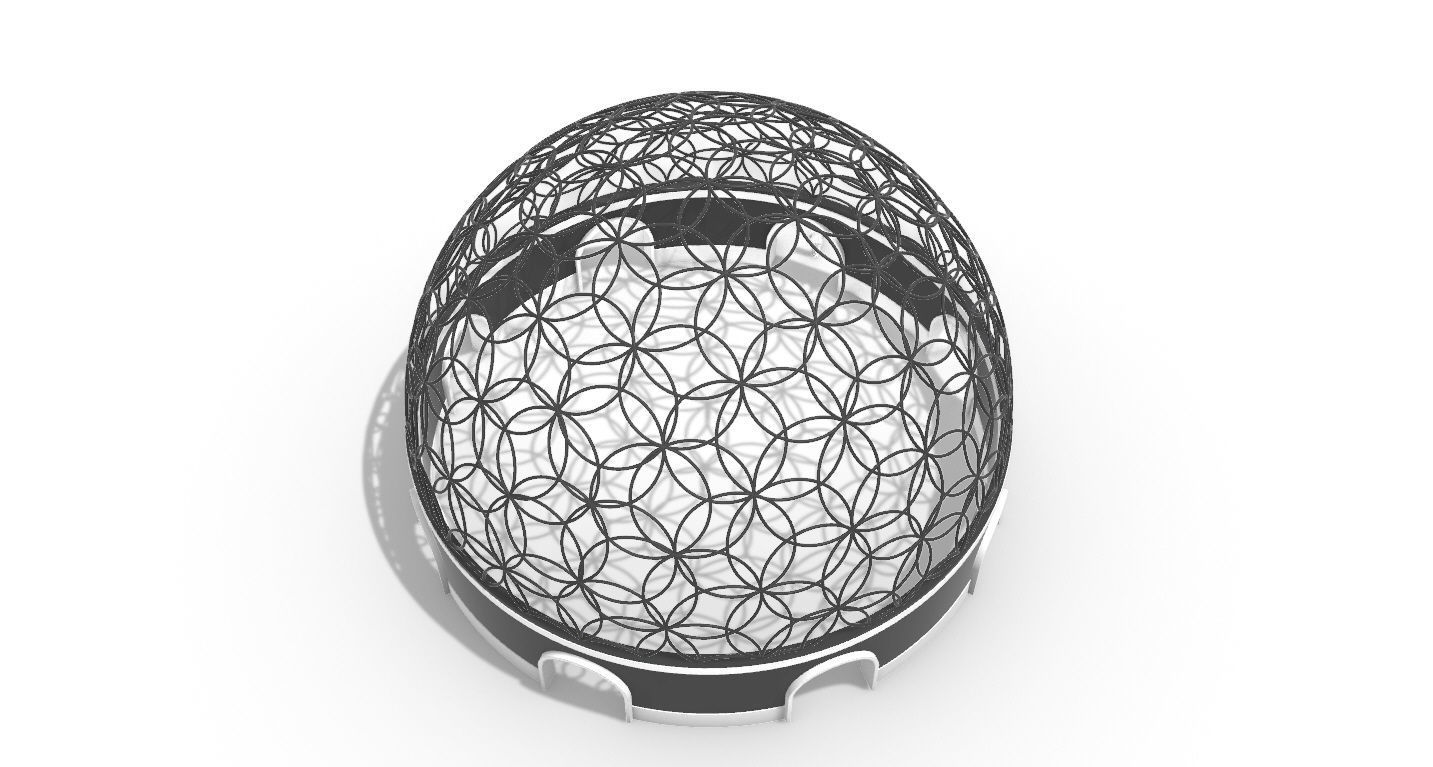 Geodesic Dome Flower of Life Pavilion Architectural Structure  3D model_47