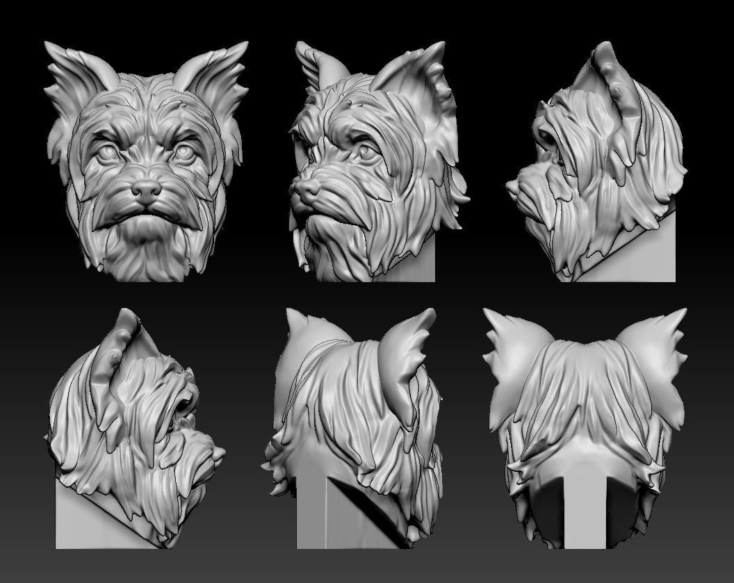 Yorkshire terrier Free 3D print model_4