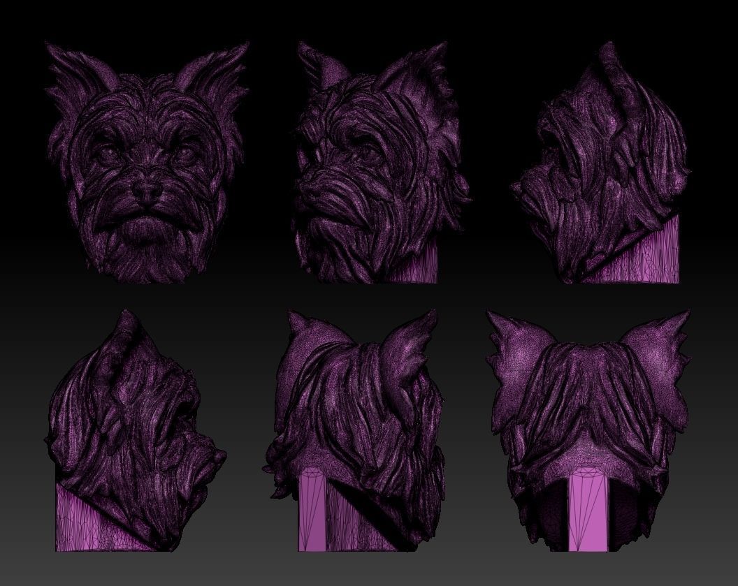 Yorkshire terrier Free 3D print model_5