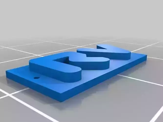 Riot Van and RV logo keychains