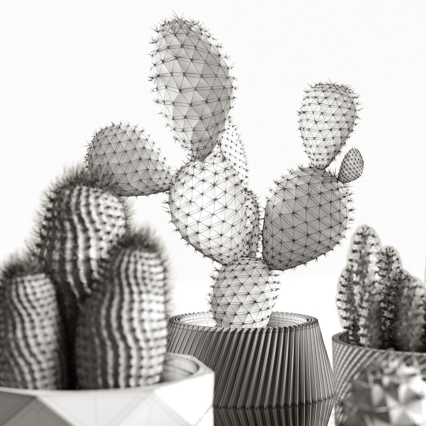 Houseplants collection _28