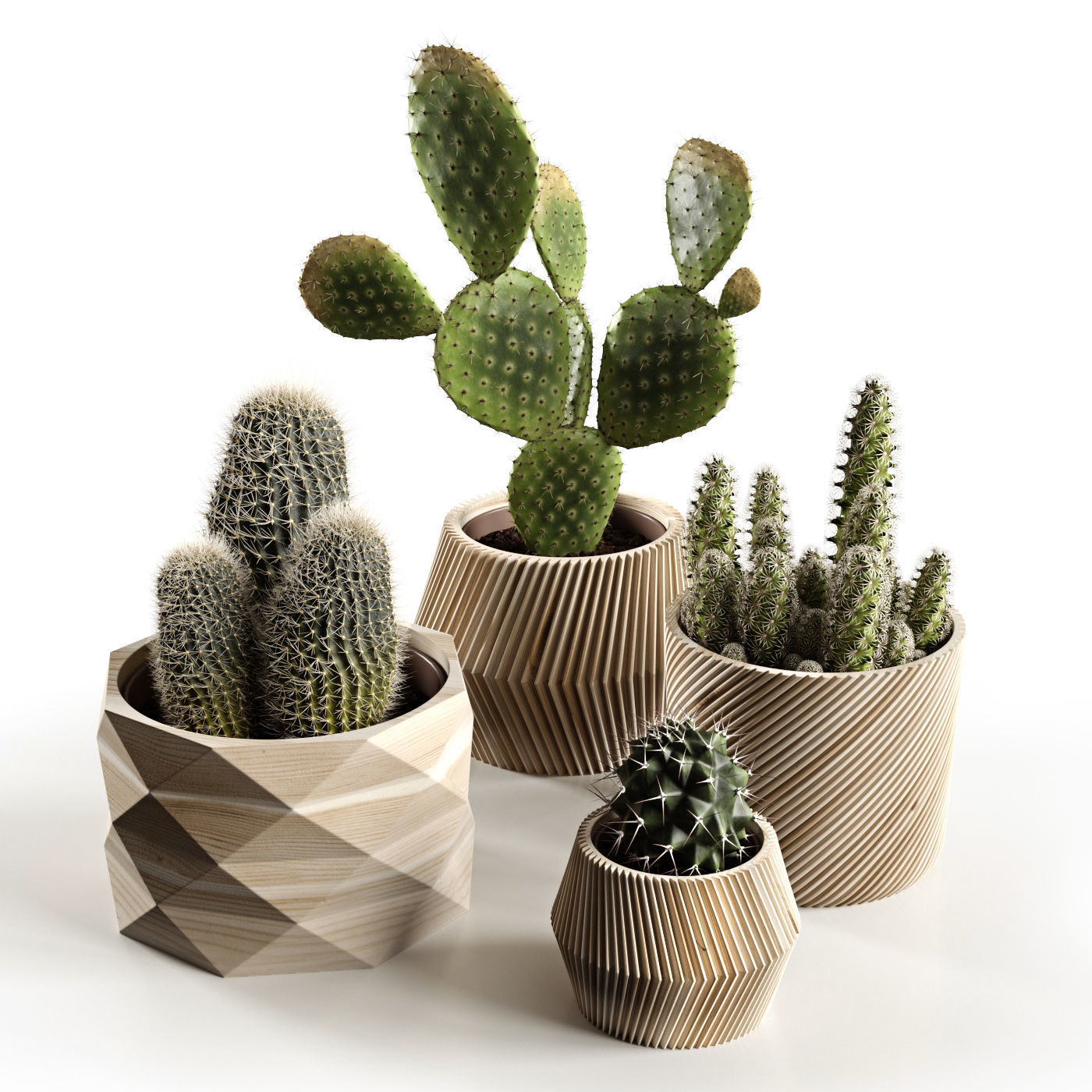 Houseplants collection _7