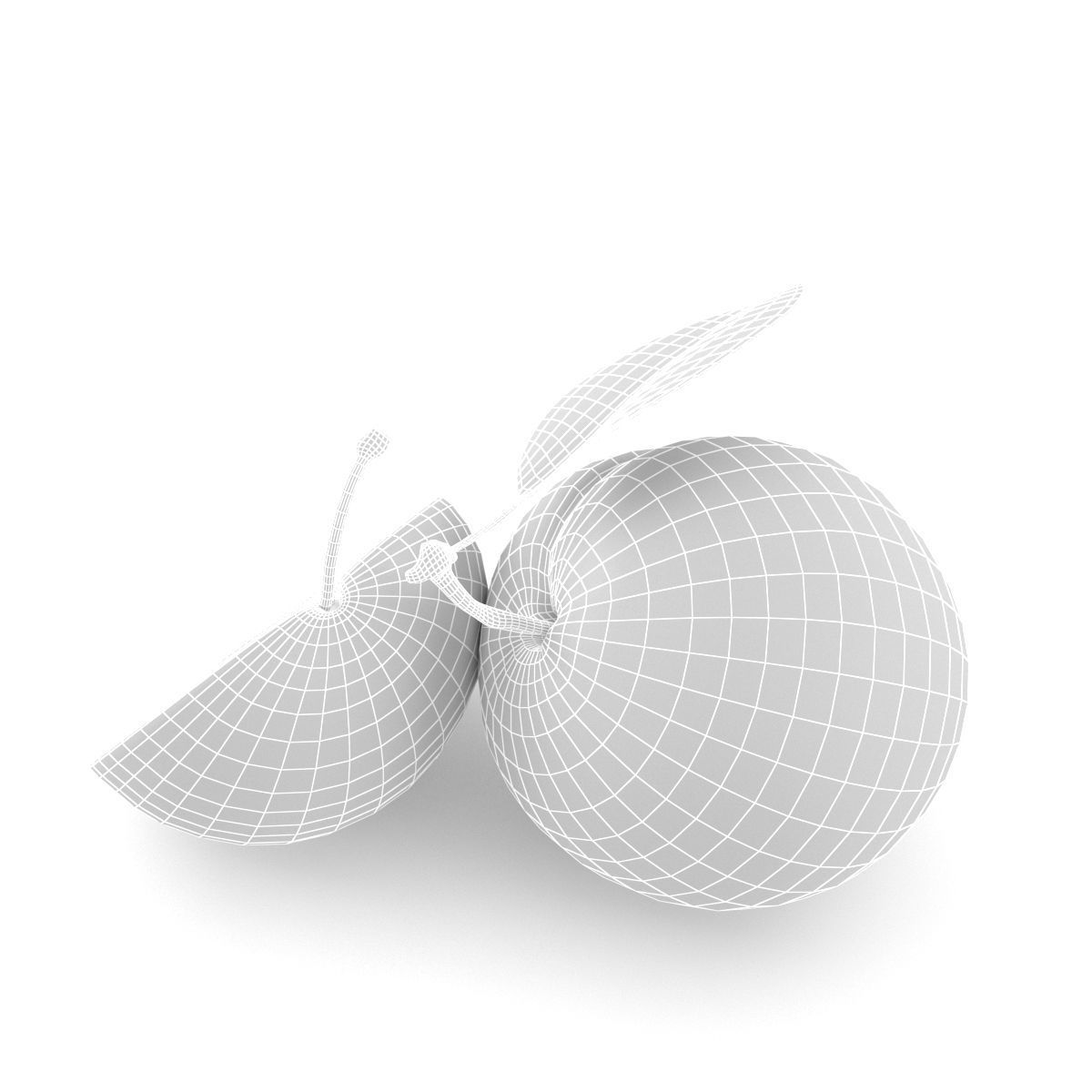 Plum model two plums 3D model_9