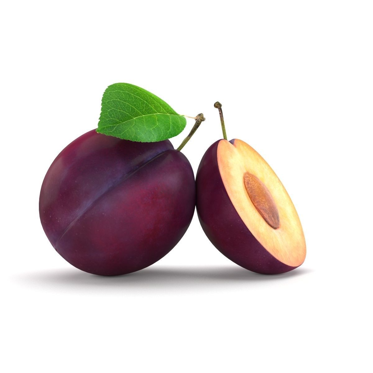 Plum model two plums 3D model_2