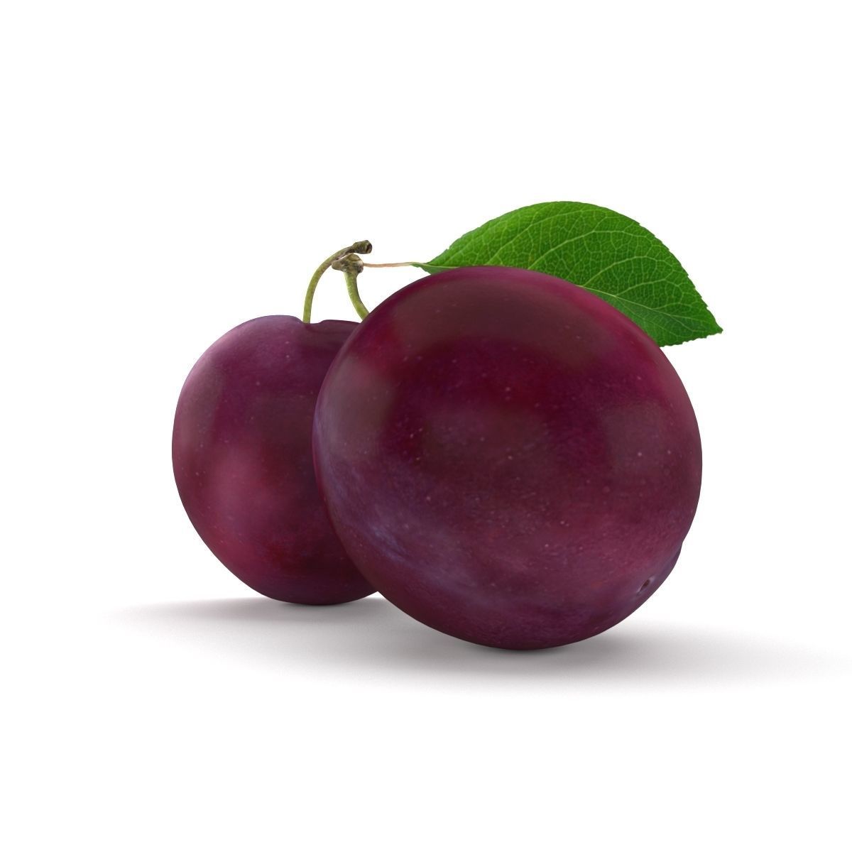 Plum model two plums 3D model_4
