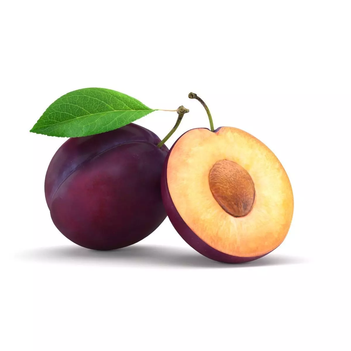 Plum model two plums 3D model_0