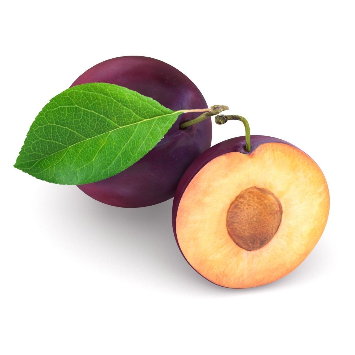 Plum model two plums 3D model_5