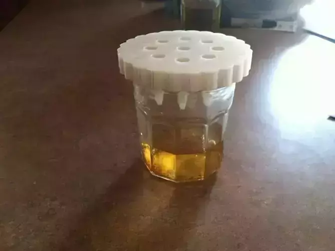 Fruit Fly Trap Free 3D print model