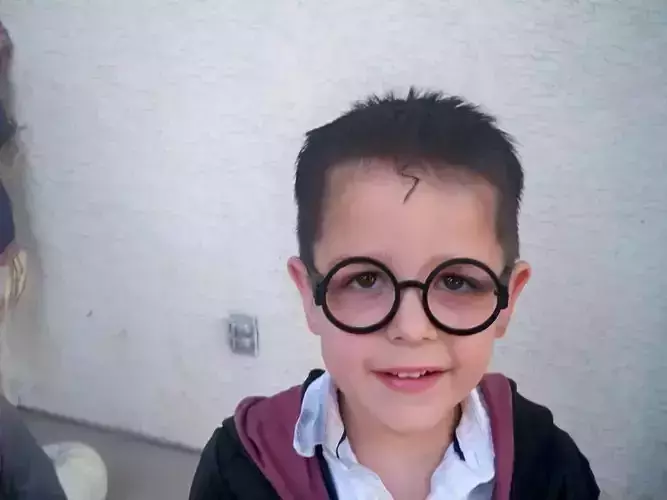 Harry Potter Glasses Free 3D print model