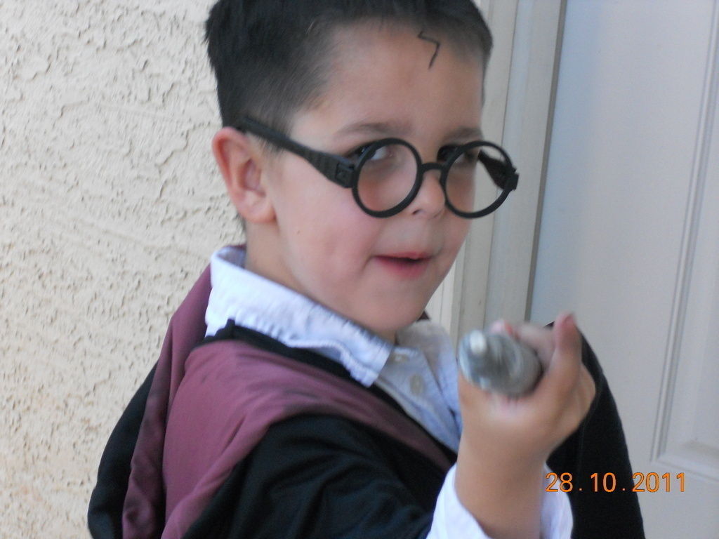 Harry Potter Glasses Free 3D print model_1