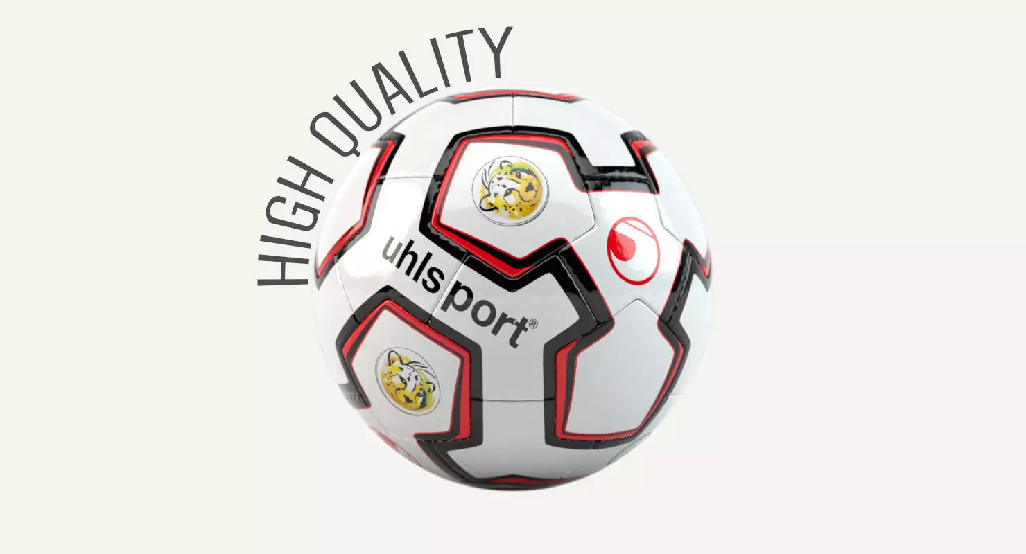 Soccer Ball 3D model