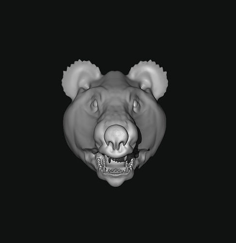 bear head zbrush tool Free 3D model