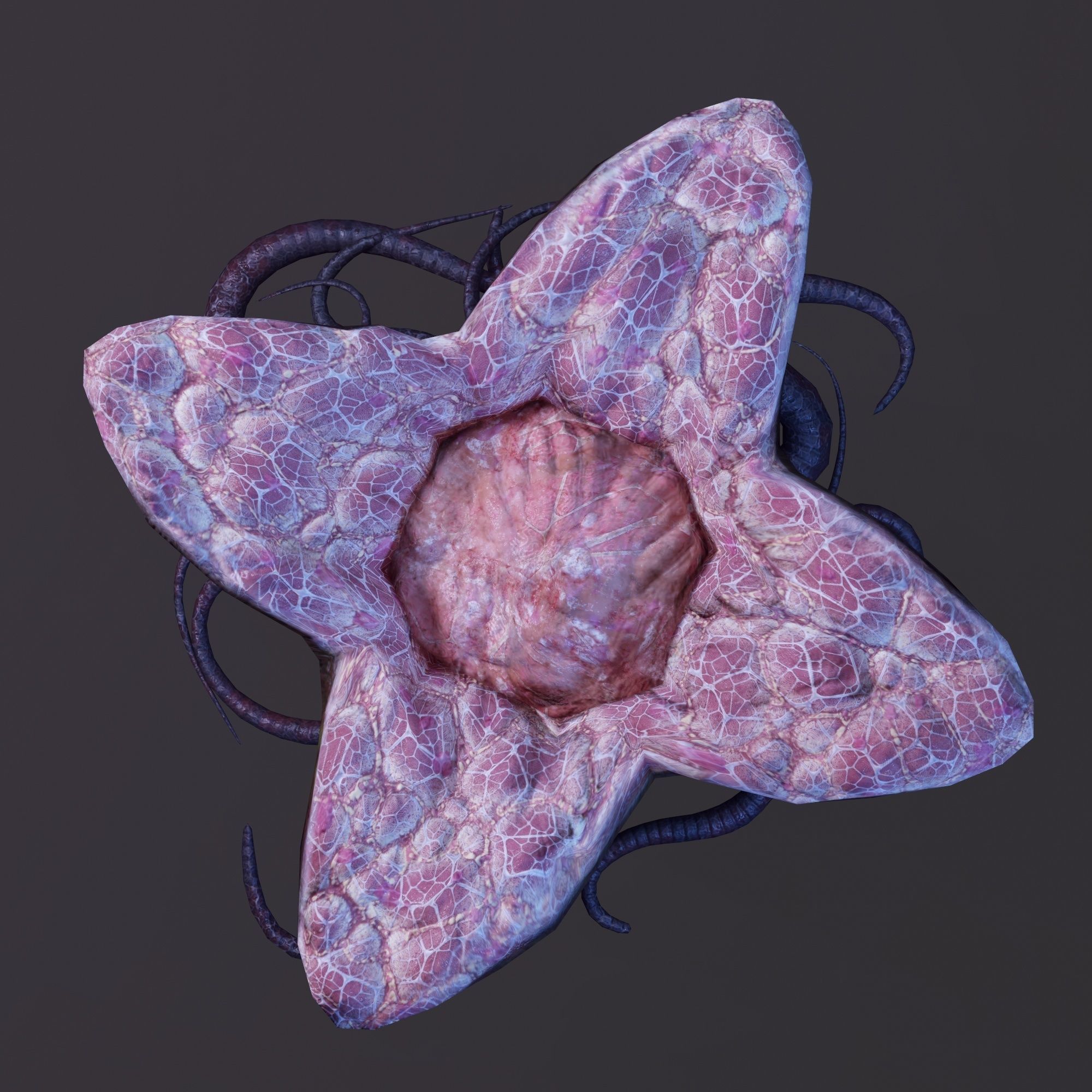 Alien egg Low-poly 3D model_10