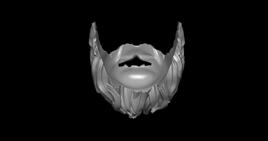Beard 3D print model_6