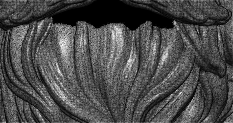 Beard 3D print model_9