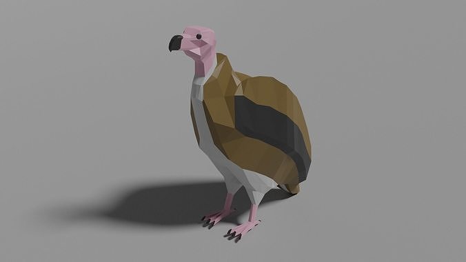 Cartoon Vulture  Low-poly 3D model