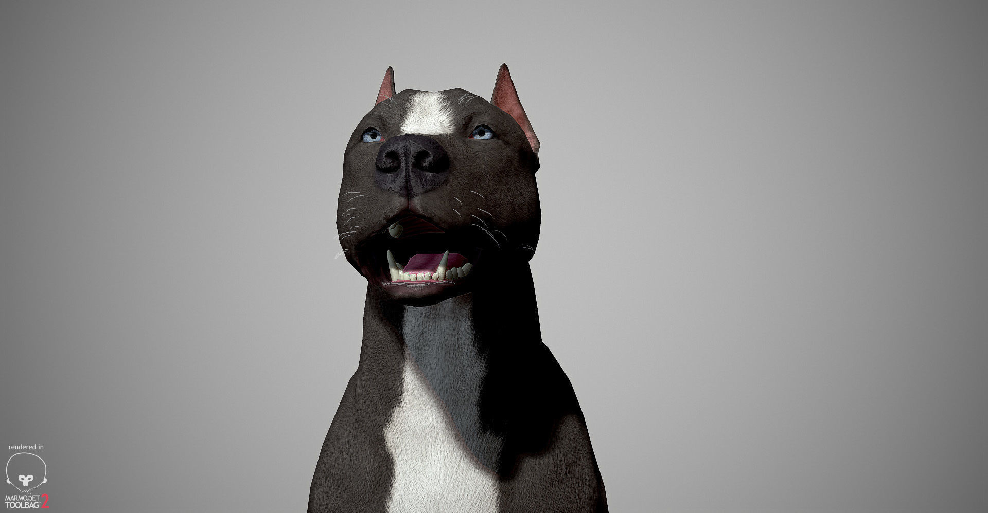 Pitbull Real-Time Low-poly 3D model_16