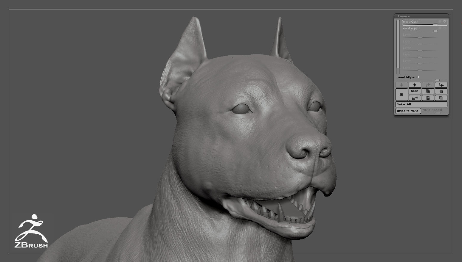 Pitbull Real-Time Low-poly 3D model_40