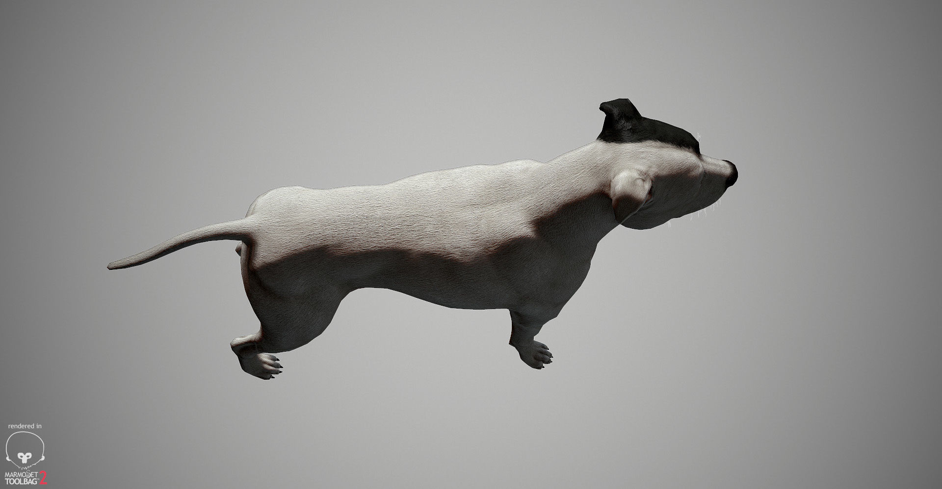 Pitbull Real-Time Low-poly 3D model_24