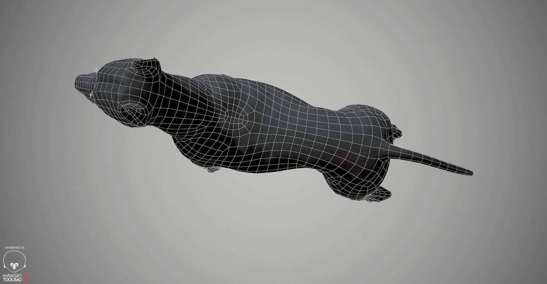 Pitbull Real-Time Low-poly 3D model_32